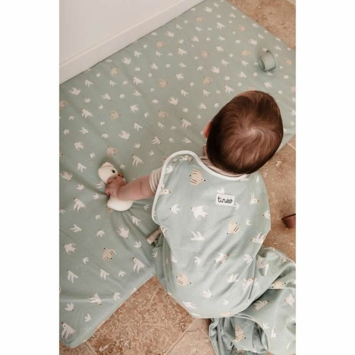 V5H53B32B3ED9C9B2FB57346248EB0A17ADR5774554P6