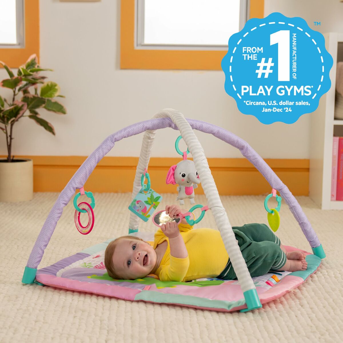 V5H7FDA5C42A5F478DF120C4C7B7E1516BAR7025490P4