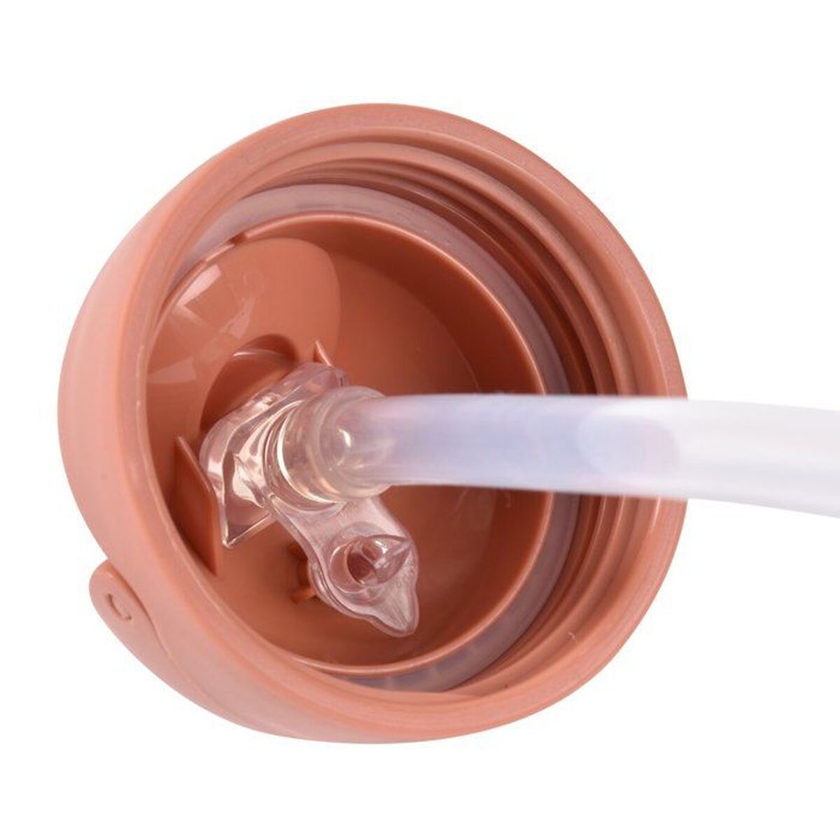 V4HEED6D674FDCB82E239CCA325DA1F01B6R7384621P5