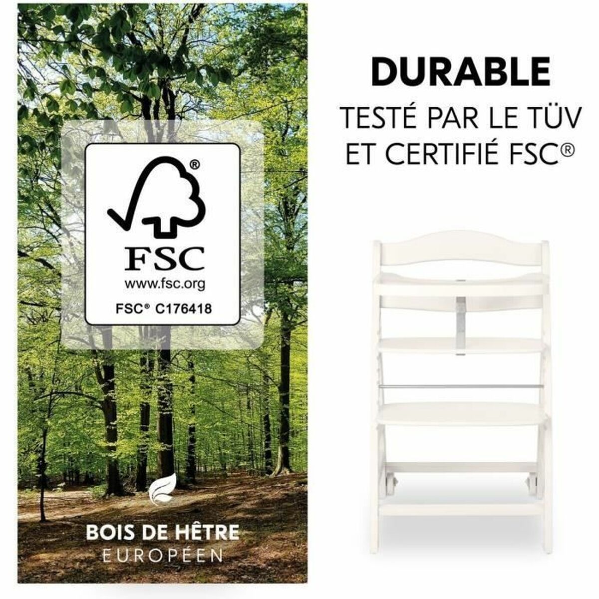 V4HCC6F5CCCB9A40A61E6823A4F751224F5R7054751P4